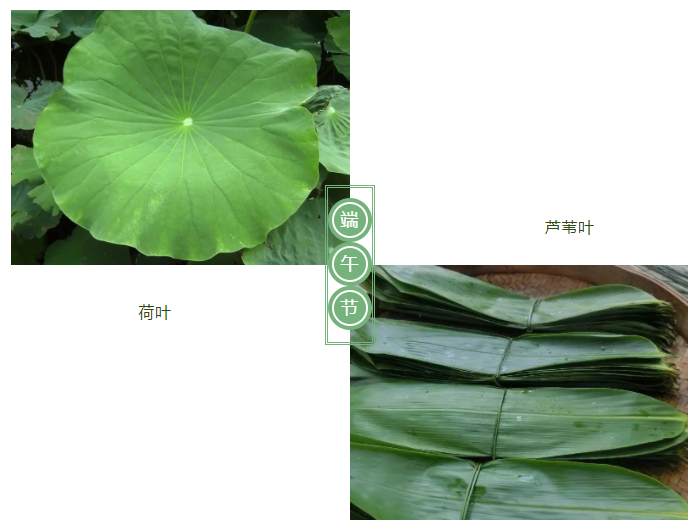 YY易游m6米乐医纺