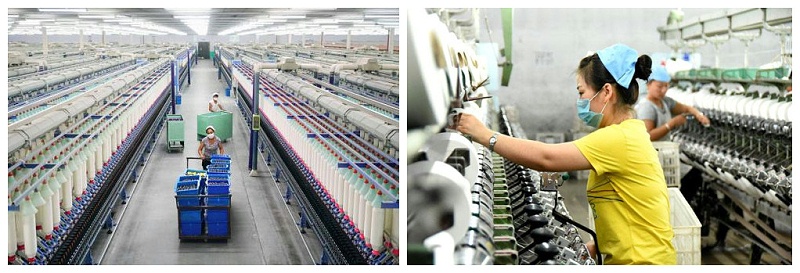 YY易游m6米乐医纺