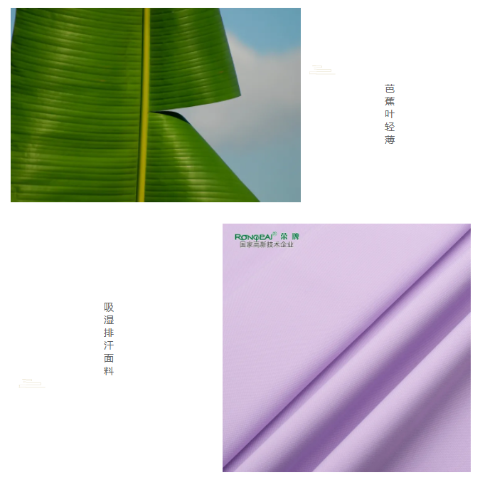 YY易游m6米乐医纺